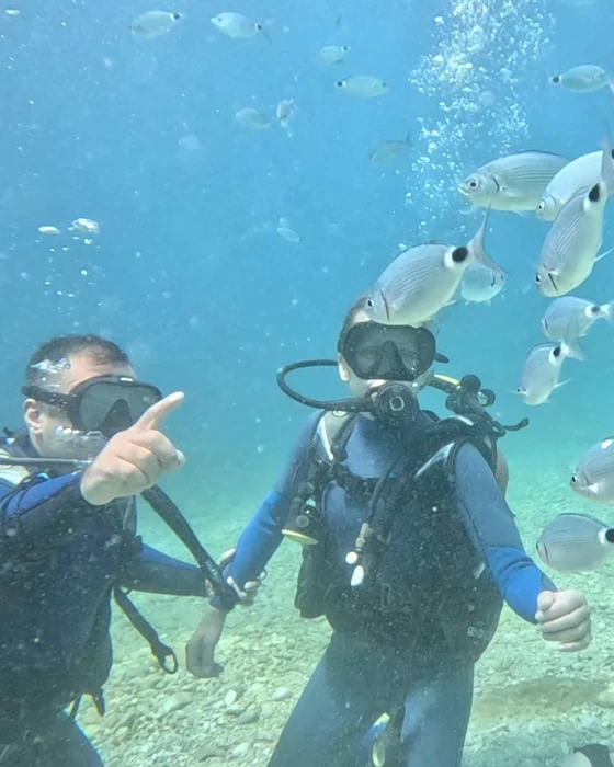 Alanya'da karagöz sürüsünün yanında dalıcıya işaretle yön gösteren eğitmen
